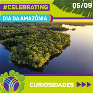 Dia da Amazônia 1 