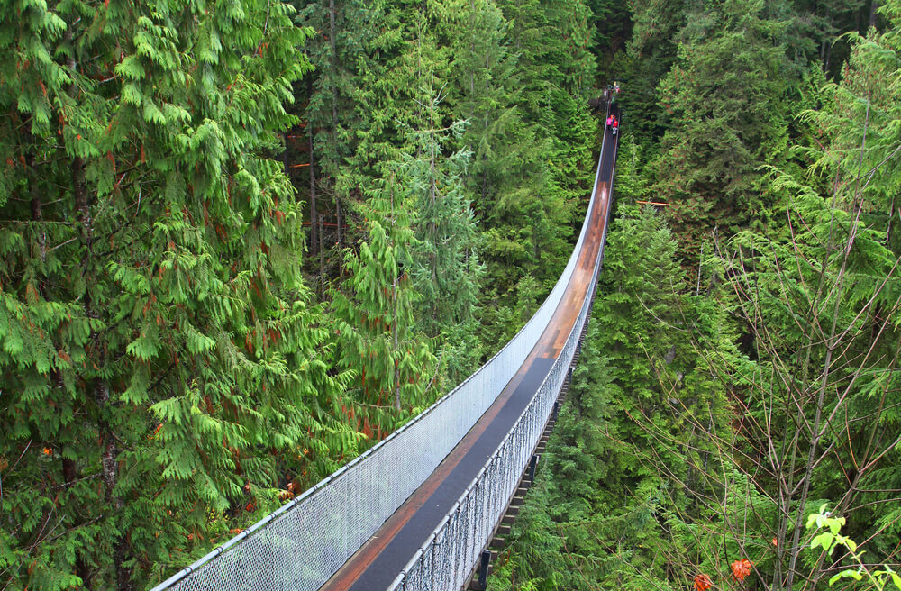Capilano Suspension Bridge - Vancouver